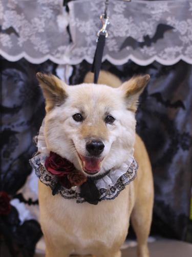 20231024れんくん